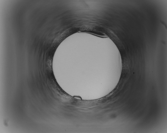 X0000101220045200807181602