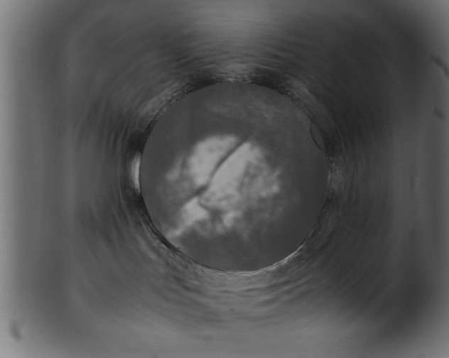 X0000101220047200807181602