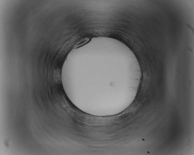 X0000101220048200807181601