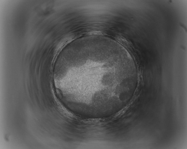 X0000101220049200807181601