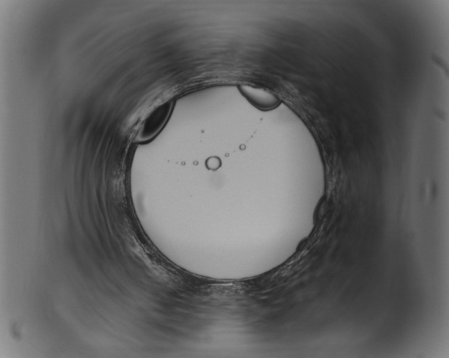 X0000101220050200807181601