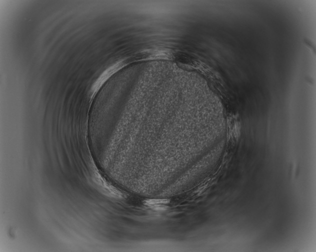 X0000101220051200807181601