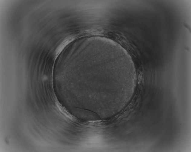 X0000101220052200807181601