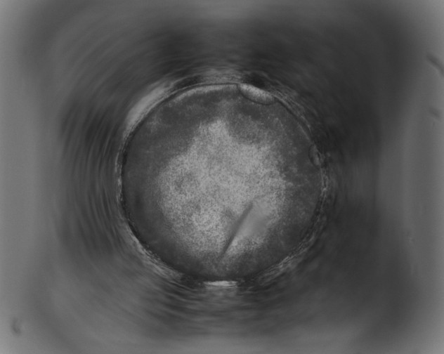 X0000101220053200807181601