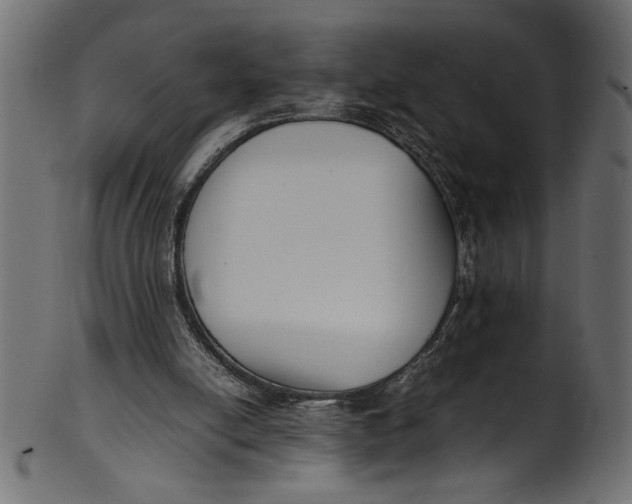 X0000101220054200807181601