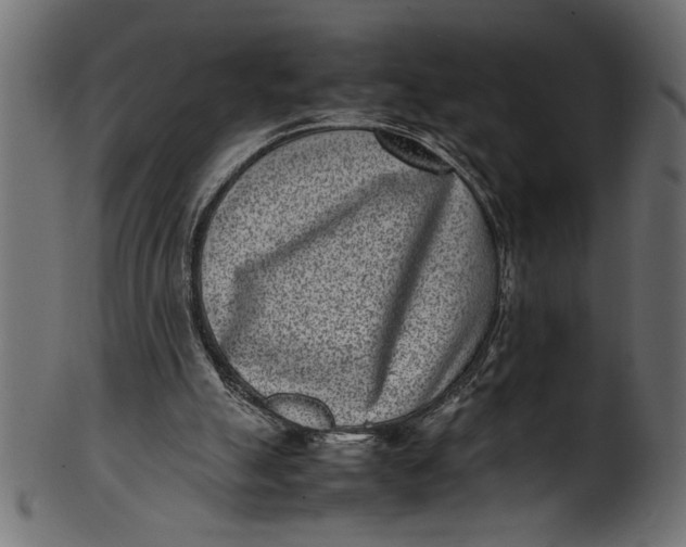 X0000101220055200807181601