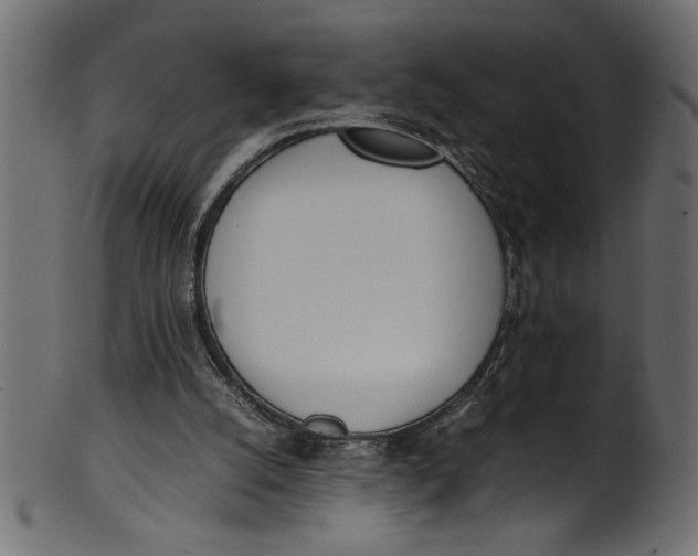 X0000101220056200807181601