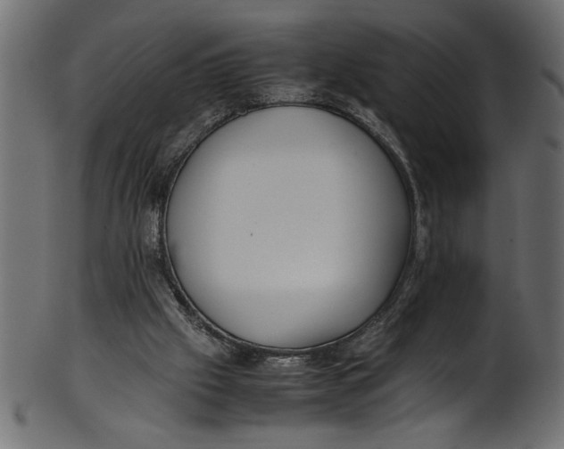X0000101220057200807181601