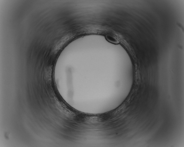 X0000101220058200807181601
