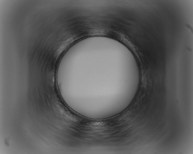 X0000101220059200807181601