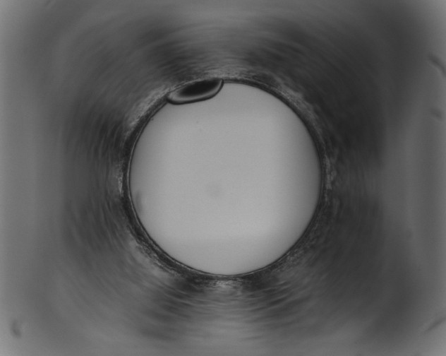 X0000101220060200807181601