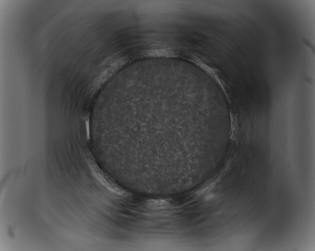 X0000101220061200807181601
