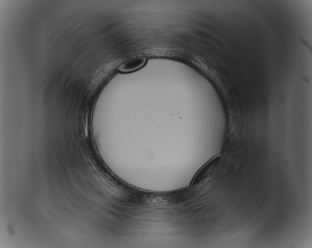 X0000101220062200807181601