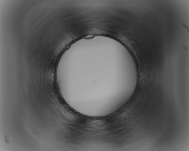 X0000101220063200807181601