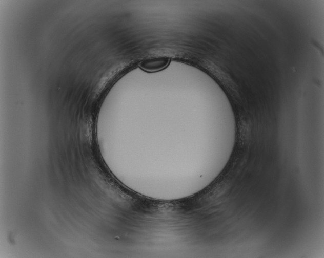 X0000101220064200807181601
