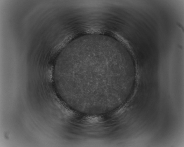 X0000101220065200807181601