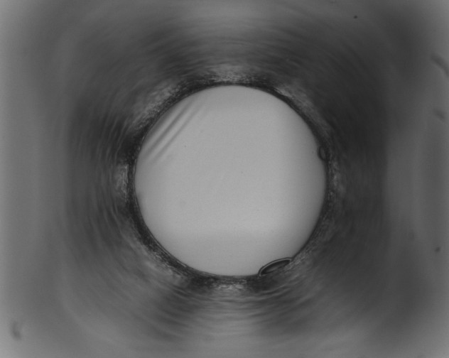 X0000101220066200807181601