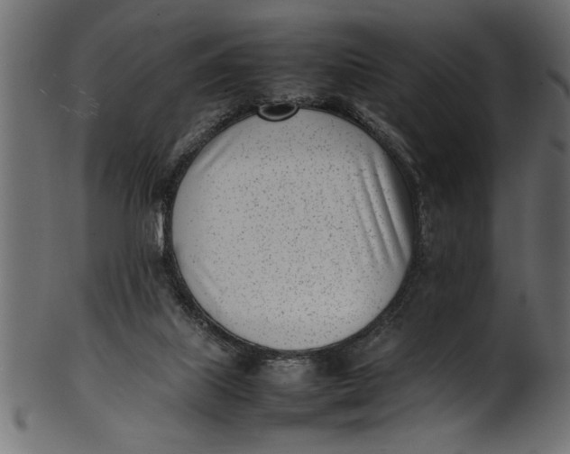 X0000101220067200807181601