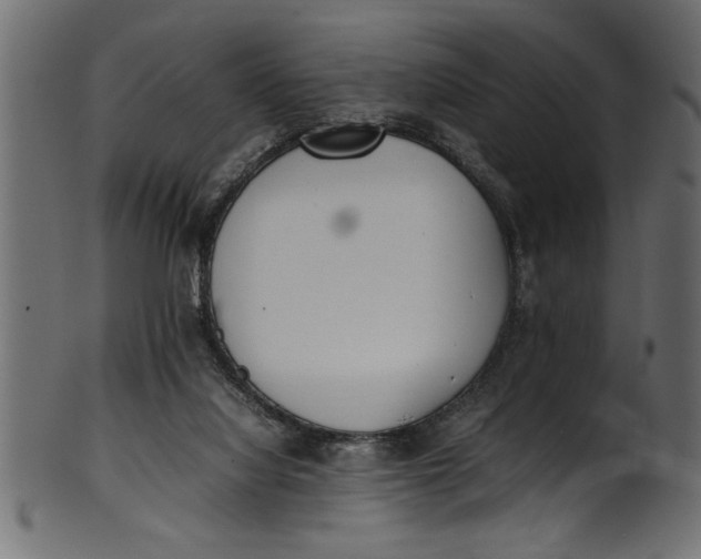 X0000101220068200807181601