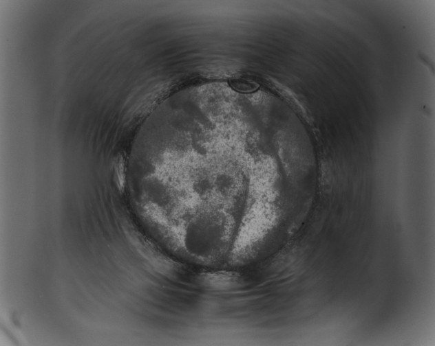 X0000101220069200807181601