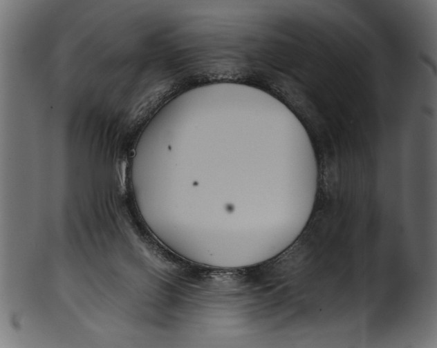 X0000101220070200807181601