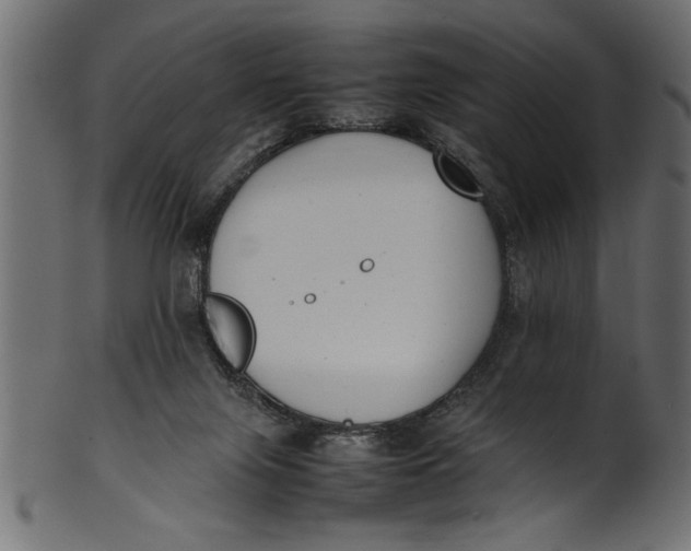 X0000101220071200807181601