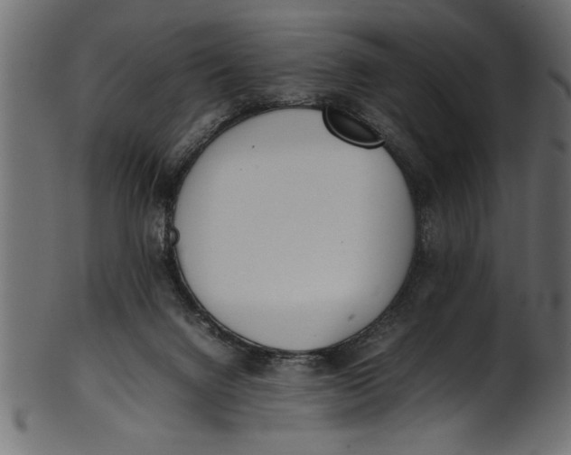 X0000101220072200807181601