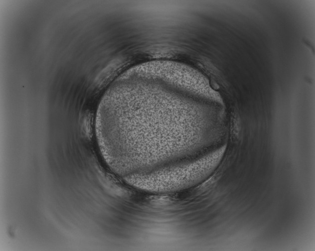 X0000101220074200807181601