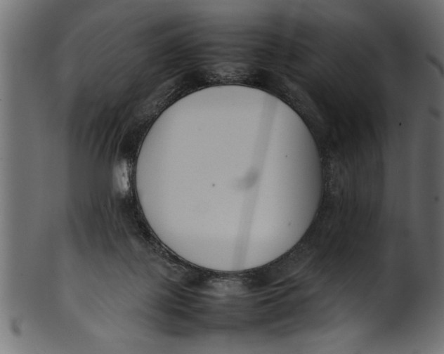 X0000101220075200807181601