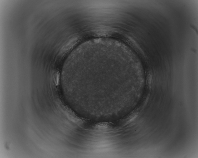 X0000101220076200807181601