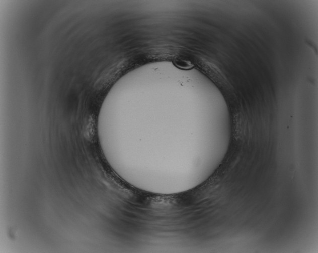 X0000101220077200807181601