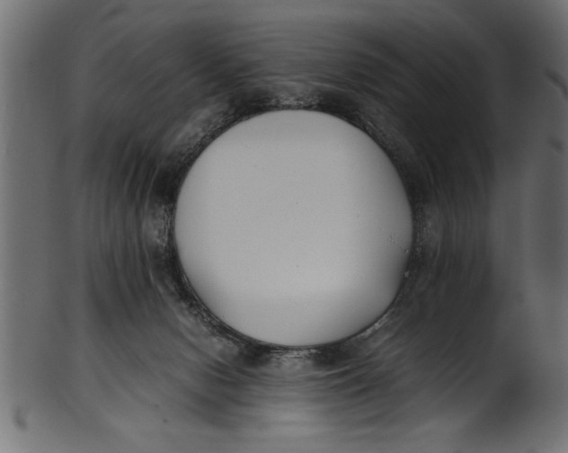 X0000101220078200807181601