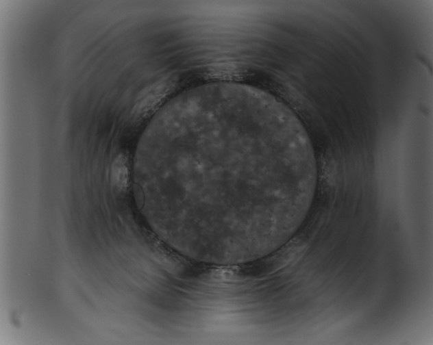 X0000101220080200807181601
