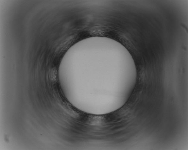 X0000101220081200807181601