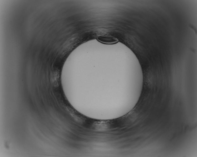 X0000101220082200807181601