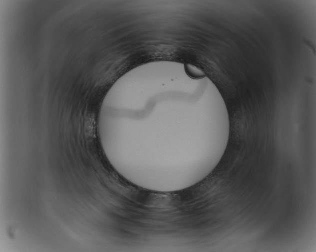 X0000101220083200807181601