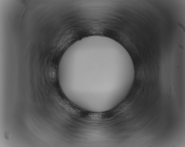 X0000101220084200807181601
