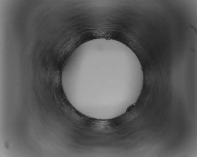 X0000101220085200807181601