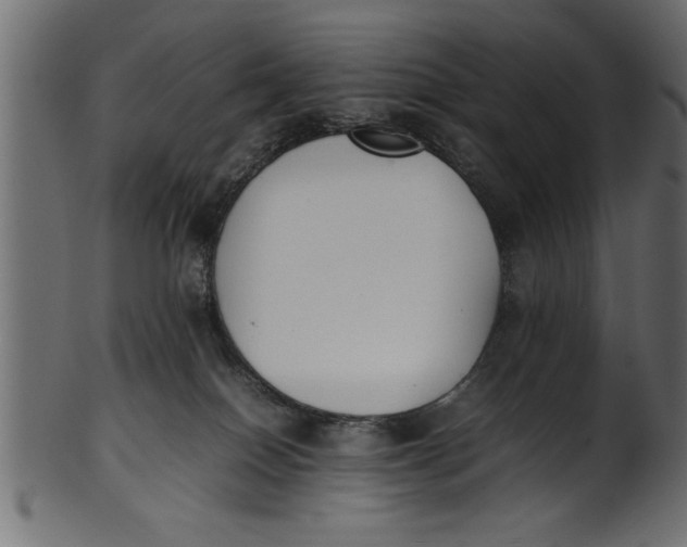 X0000101220086200807181601