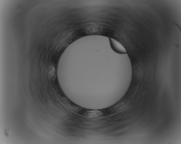 X0000101220087200807181601