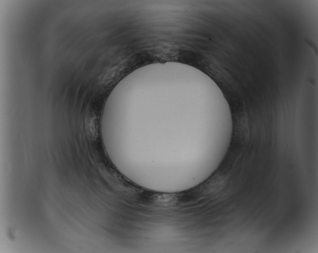X0000101220088200807181601