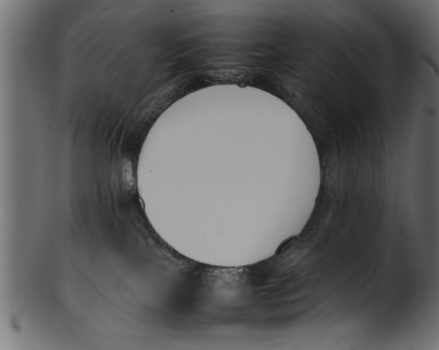 X0000101220089200807181601