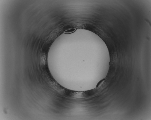 X0000101220090200807181601