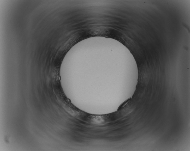 X0000101220091200807181601