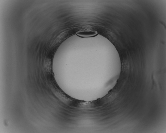 X0000101220092200807181601