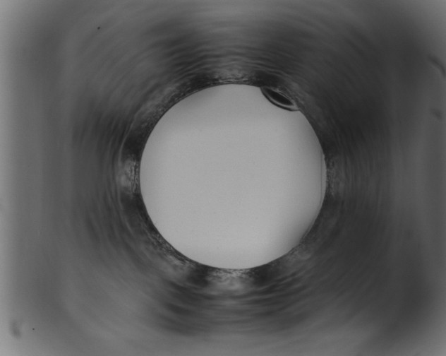 X0000101220093200807181601