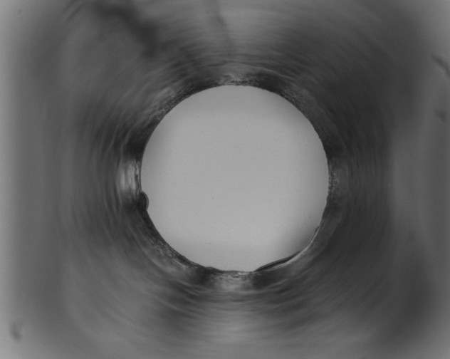 X0000101220094200807181601
