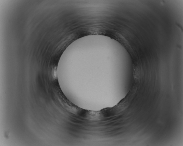 X0000101220095200807181601