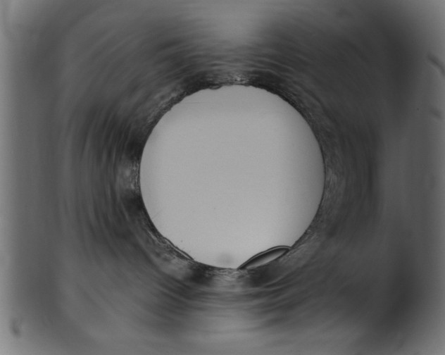X0000101220096200807181601