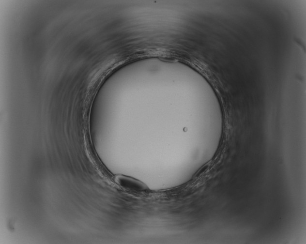 X0000101220097200807181601